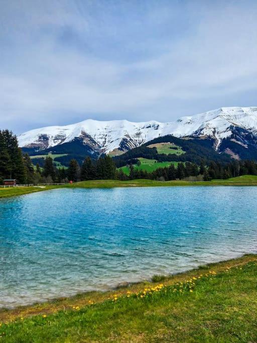 Logement A Megeve Avec Jardin Bagian luar foto
