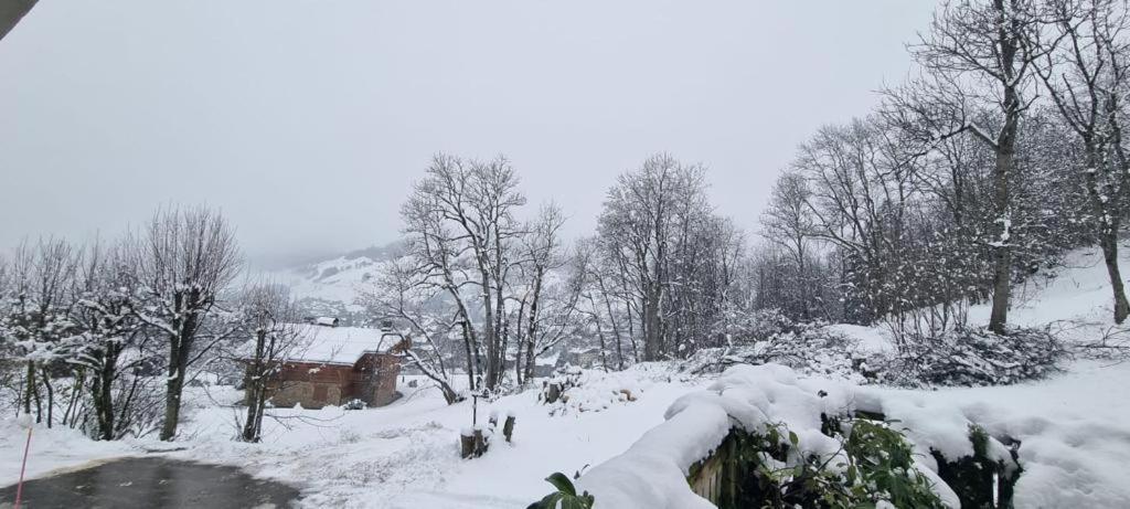 Logement A Megeve Avec Jardin Bagian luar foto