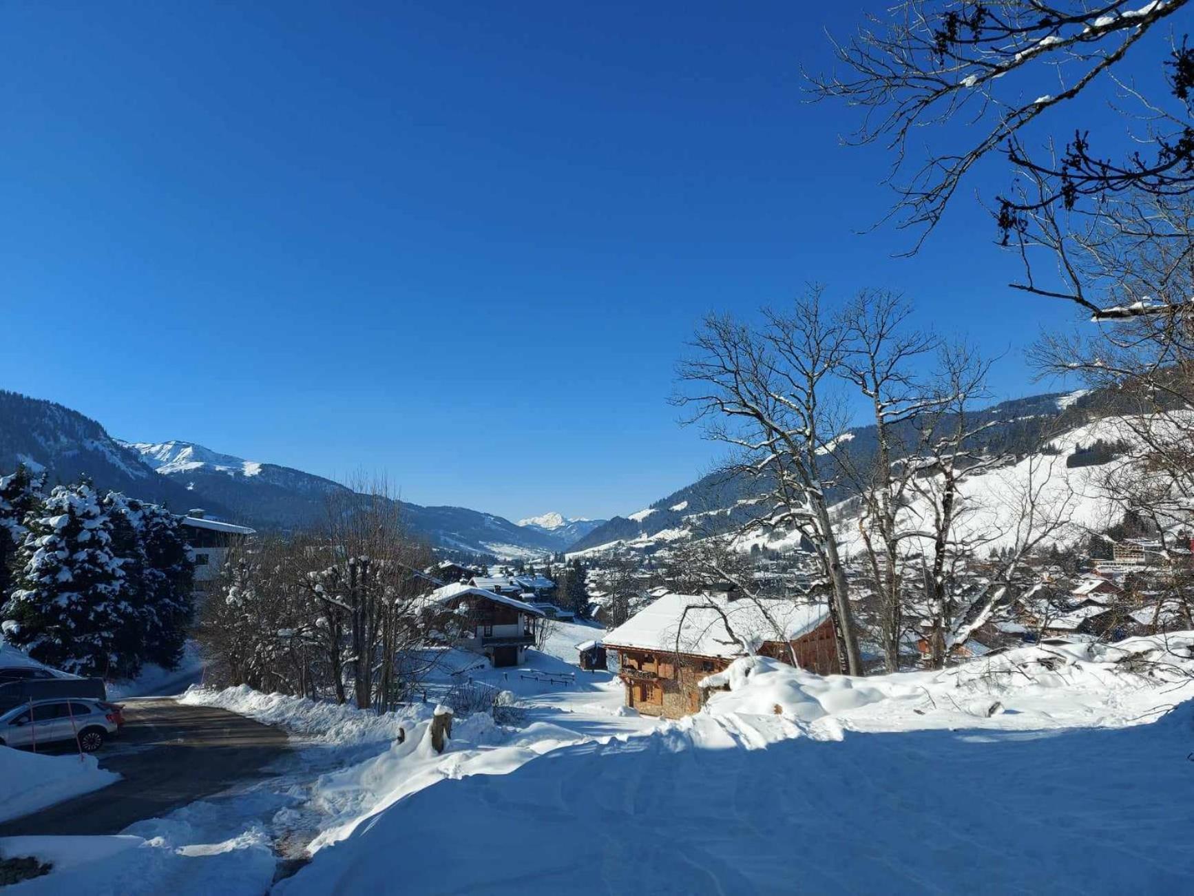 Logement A Megeve Avec Jardin Bagian luar foto